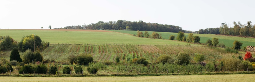 Découvrez le rôle du végétal dans... Le 21 sept 2024