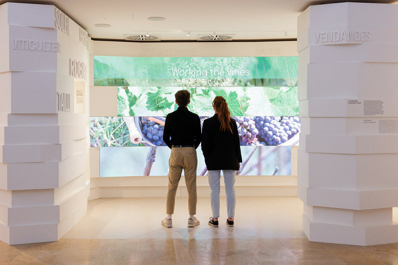 Visite libre de la Cité des Climats et vins de Bourgogne - Mâcon