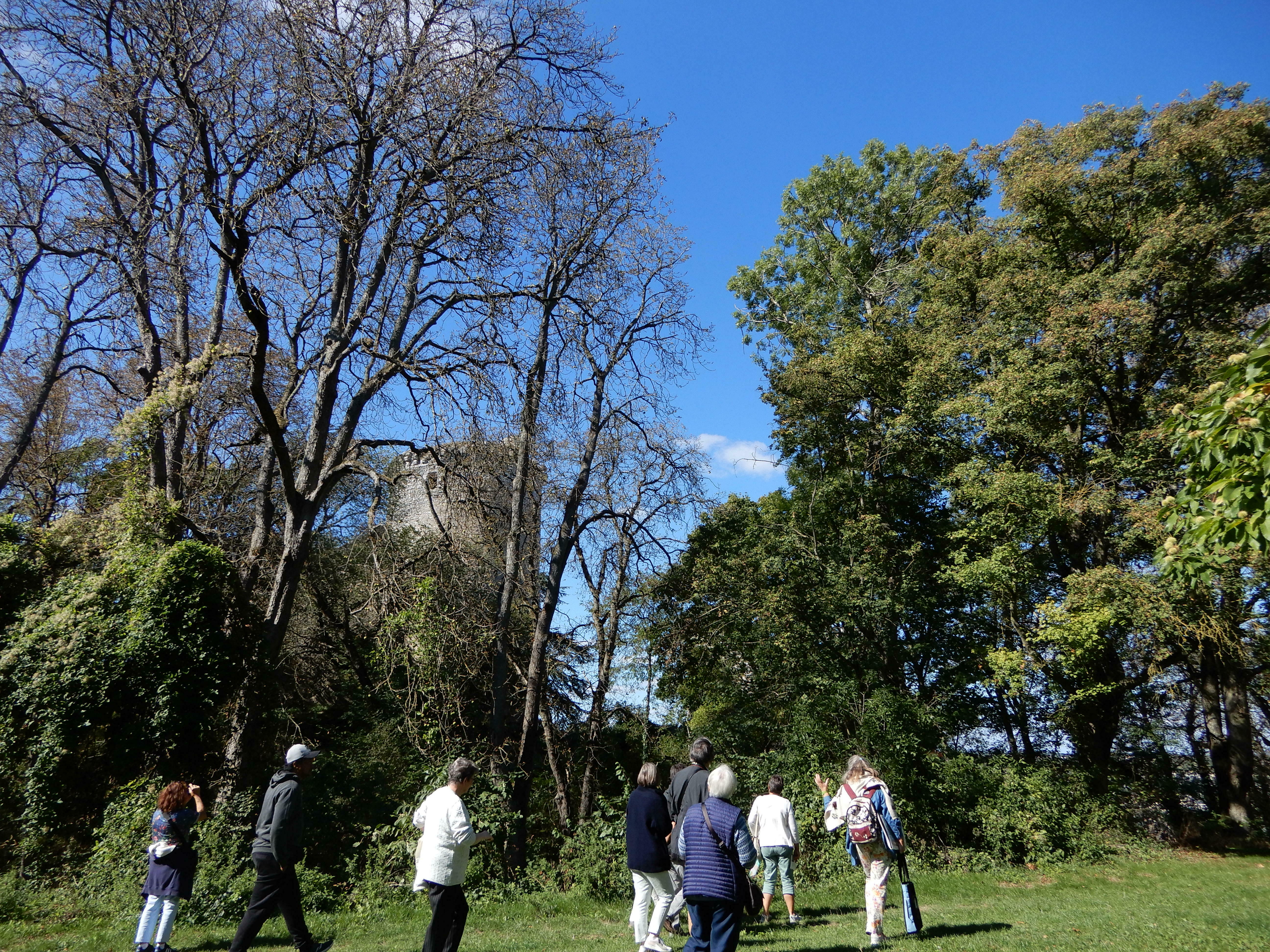 Visite commentée "Château au fil des pierres et de l