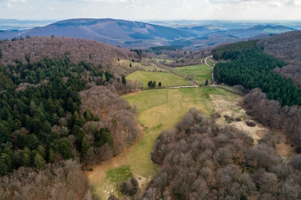 Visite commentée des fouilles des sources de l