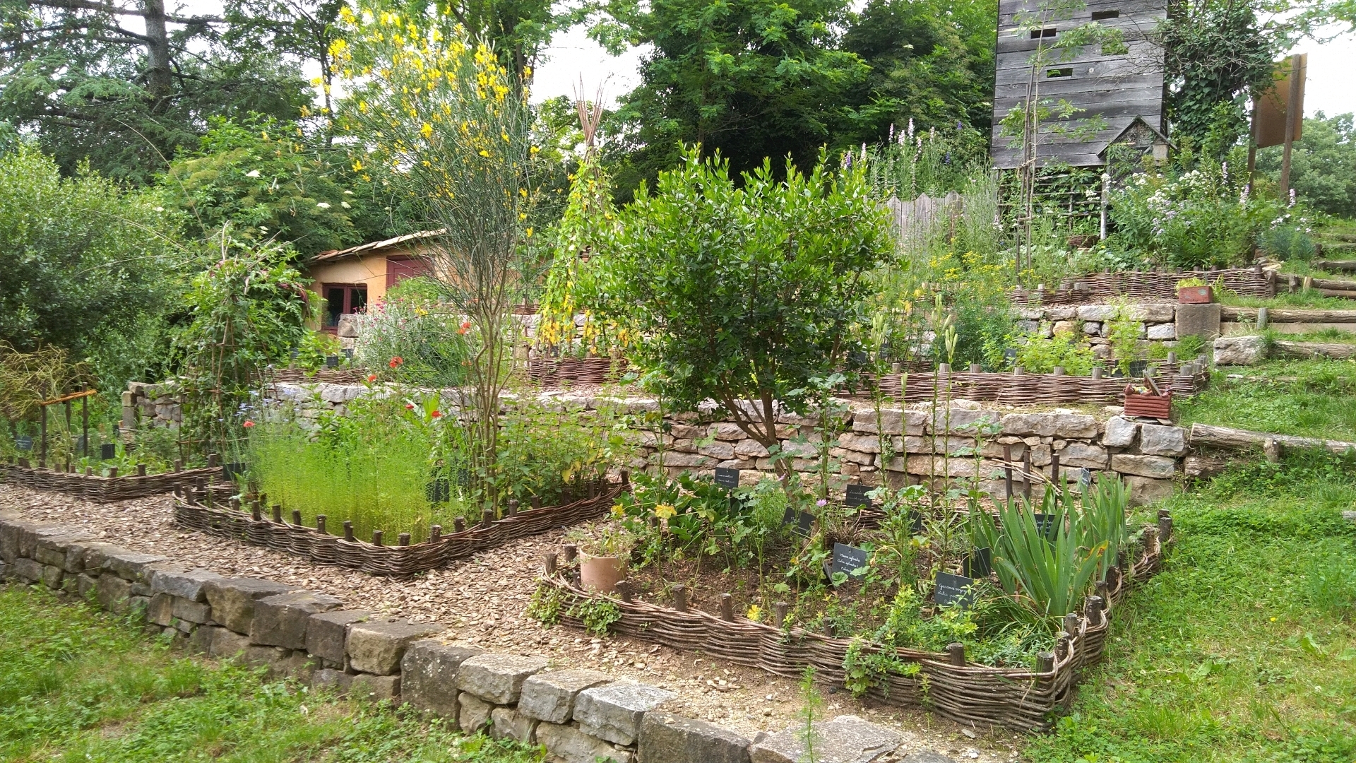 Visitez le jardin médiéval de l