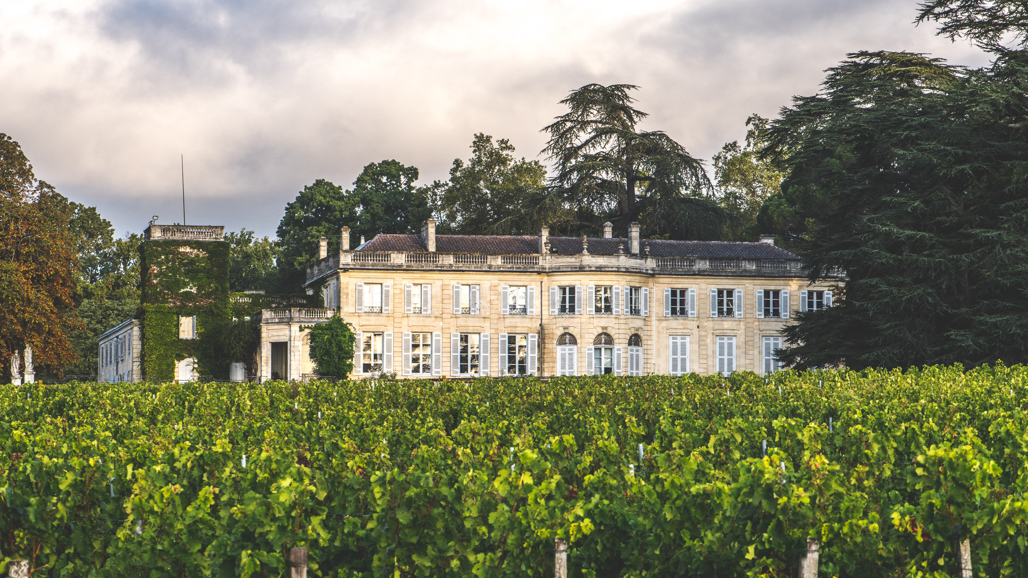 Balade pédestre au château du Taillan