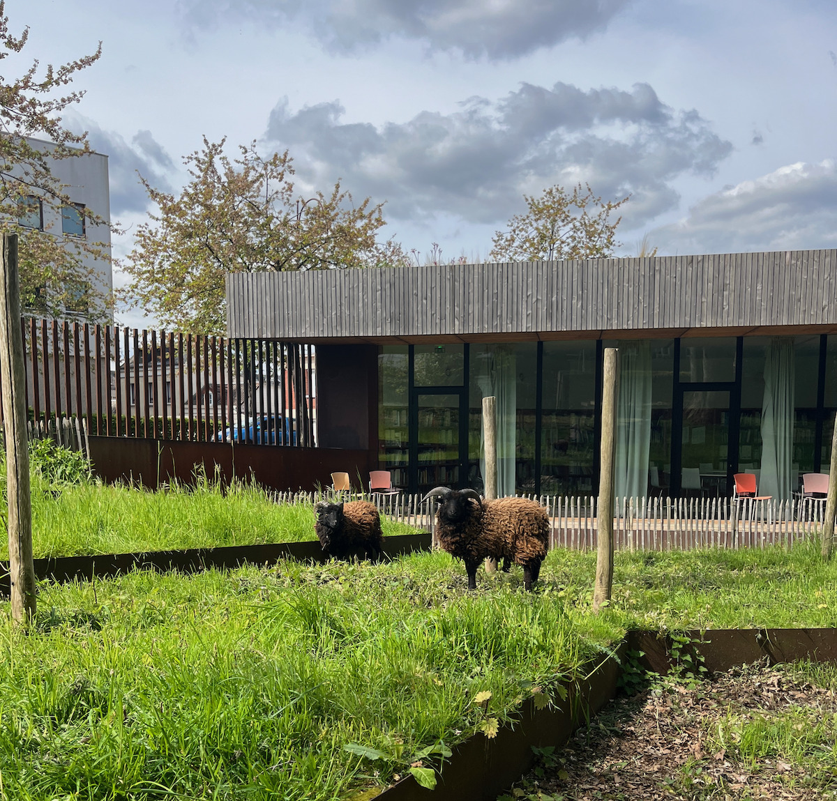 Démonstration : la petite ferme du CAUE Le 21 sept 2024