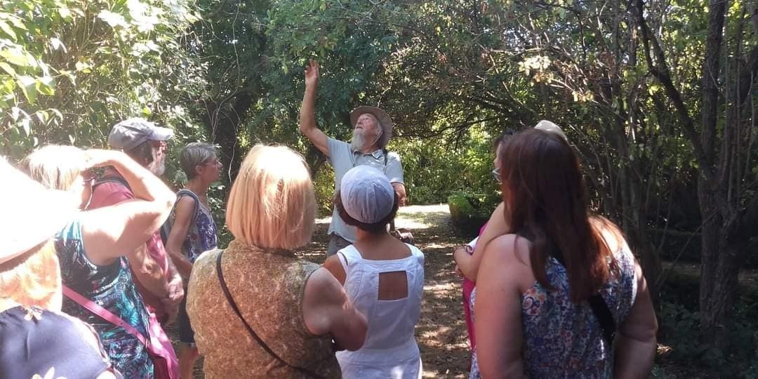 Visite guidée Jardin des plantes médicinales