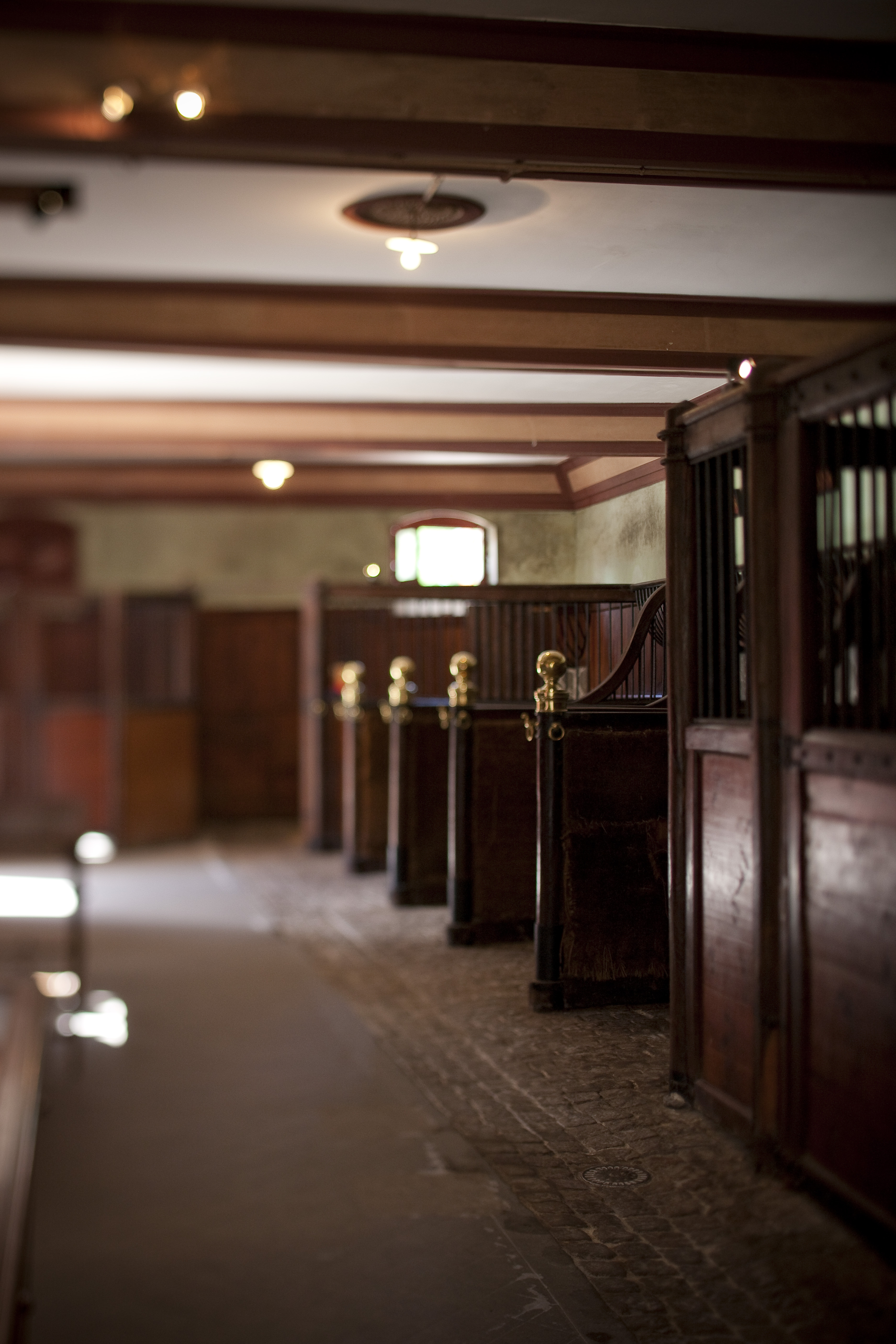 Visite guidée du musée du cheval et de son architecture