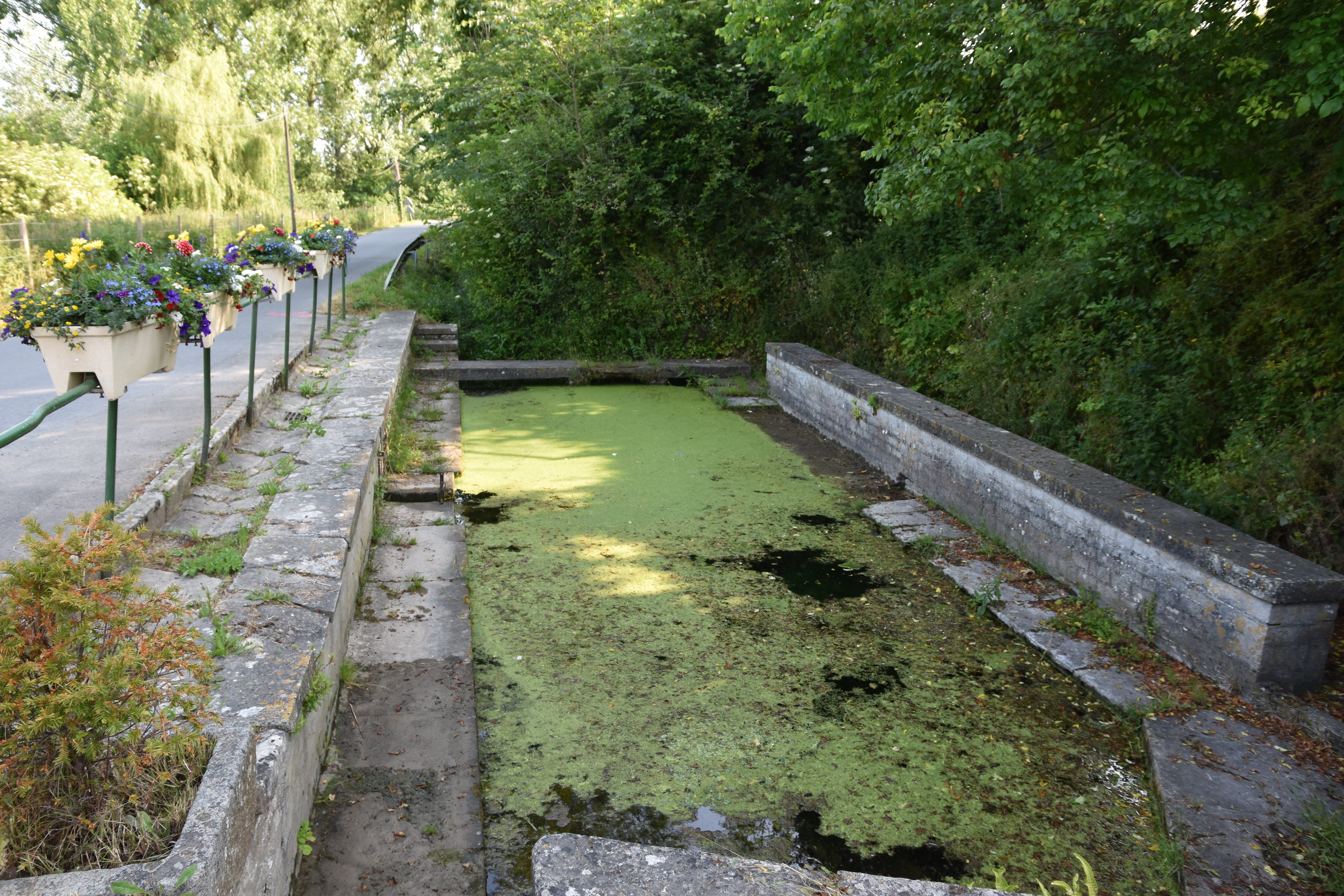 Visite libre du lavoir