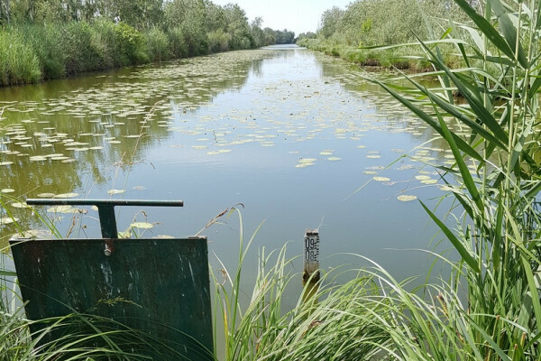 Découverte des marais de Raphèle Le 21 sept 2024