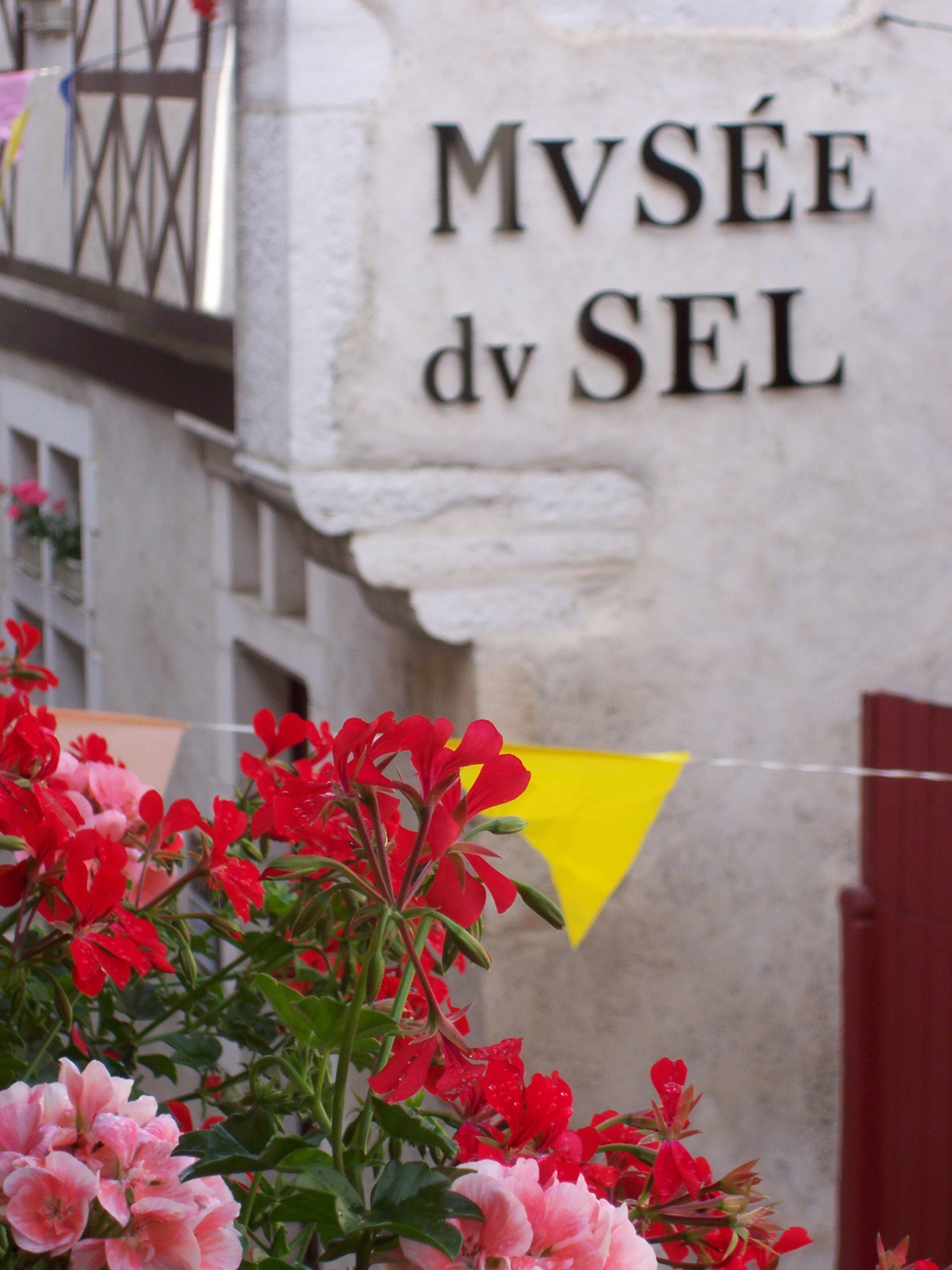 Venez découvrir le musée du sel