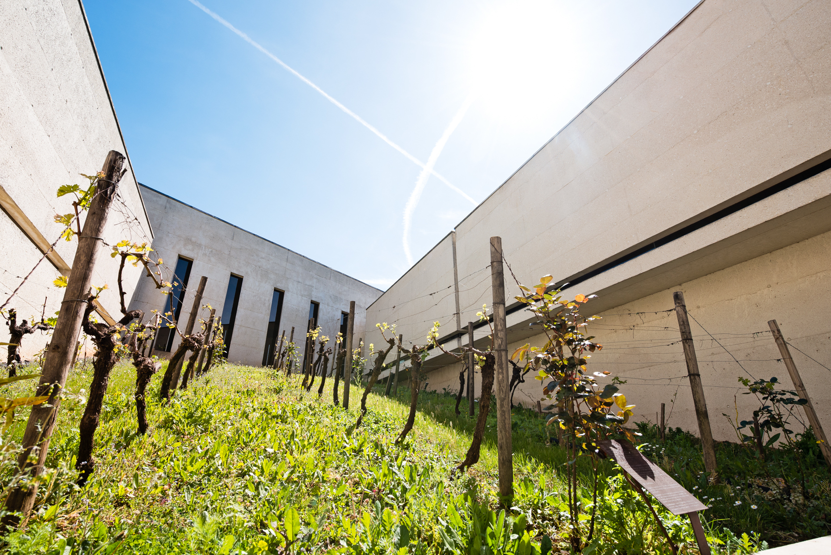 Visite libre du musée des savoir-faire du cognac