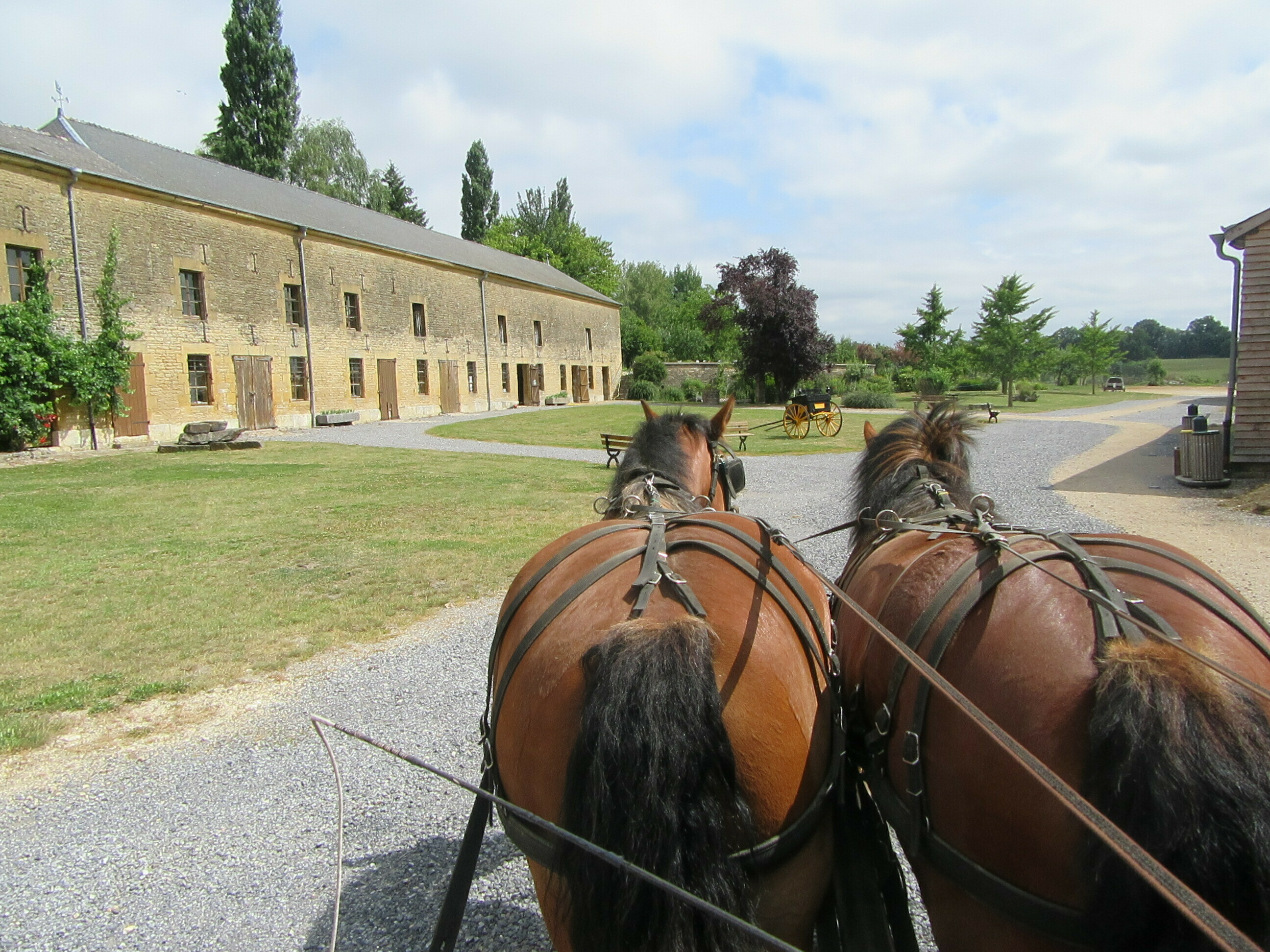 Balade en calèche au sein d