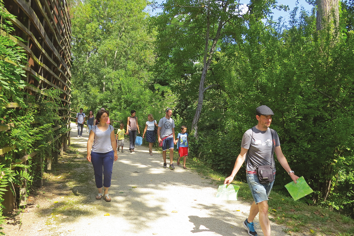 Rando-visite : « Le Tarn en aval »