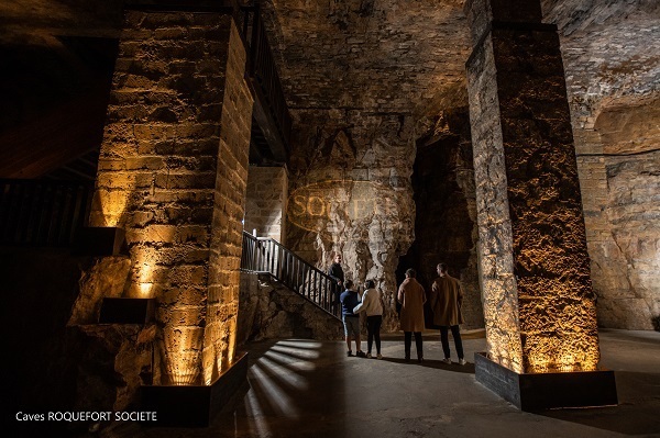 Venez découvrir les caves d