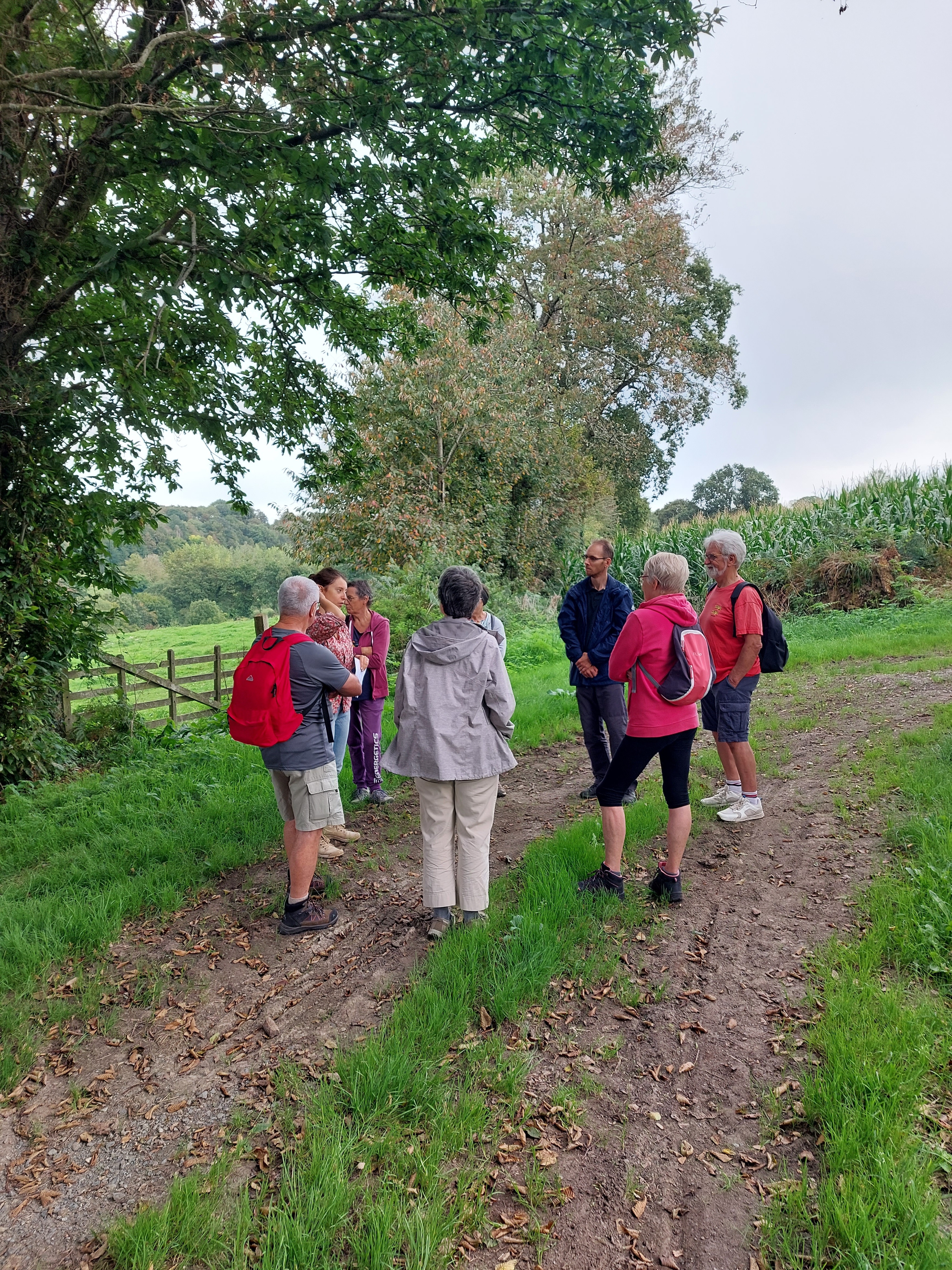 Visite guidée : trésor de paysage, marche dans le bocage