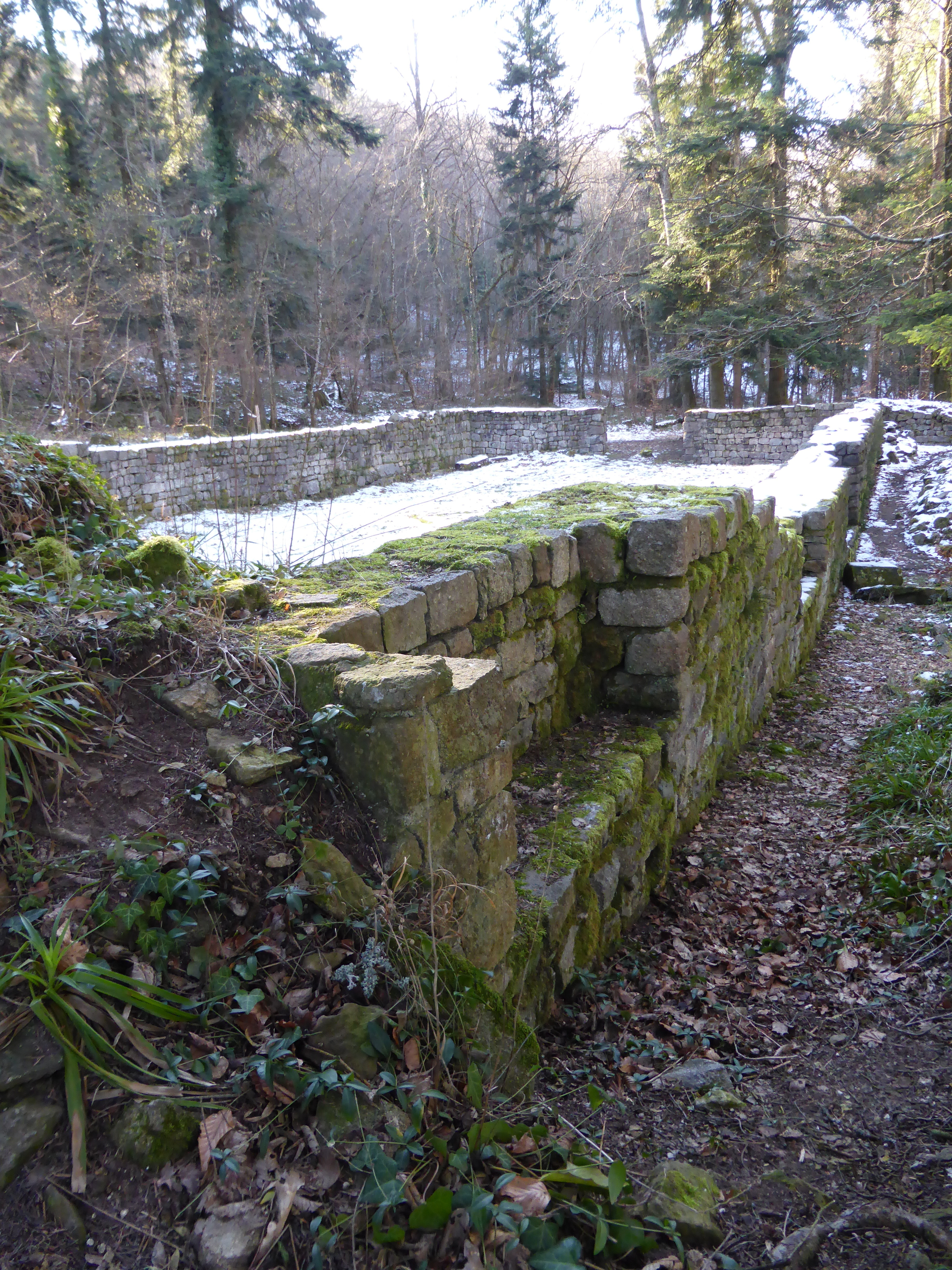 Visitez les ruines d