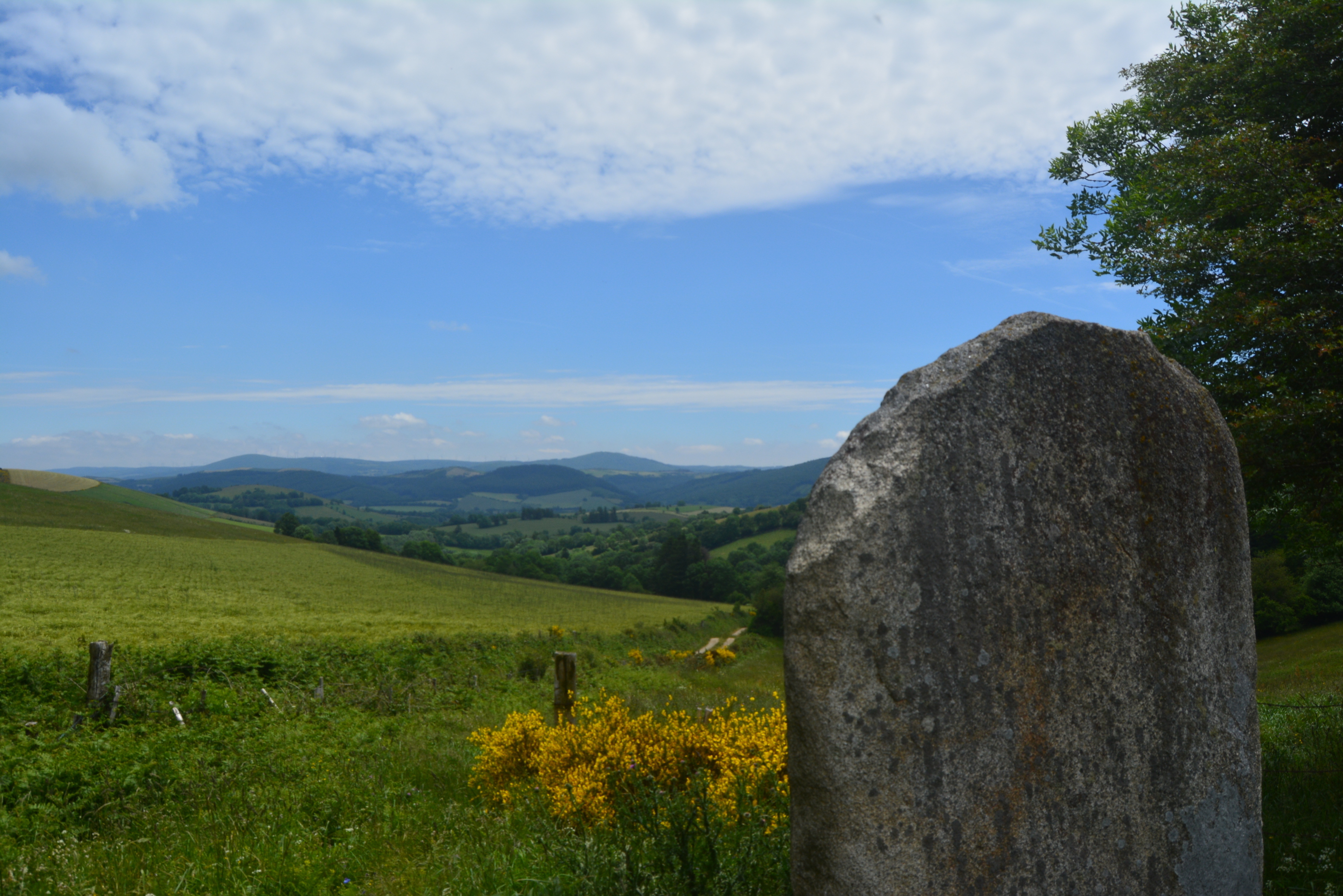 Participez à la rando-archéo : à la découverte de la statue-menhir de la Borie de Blavy