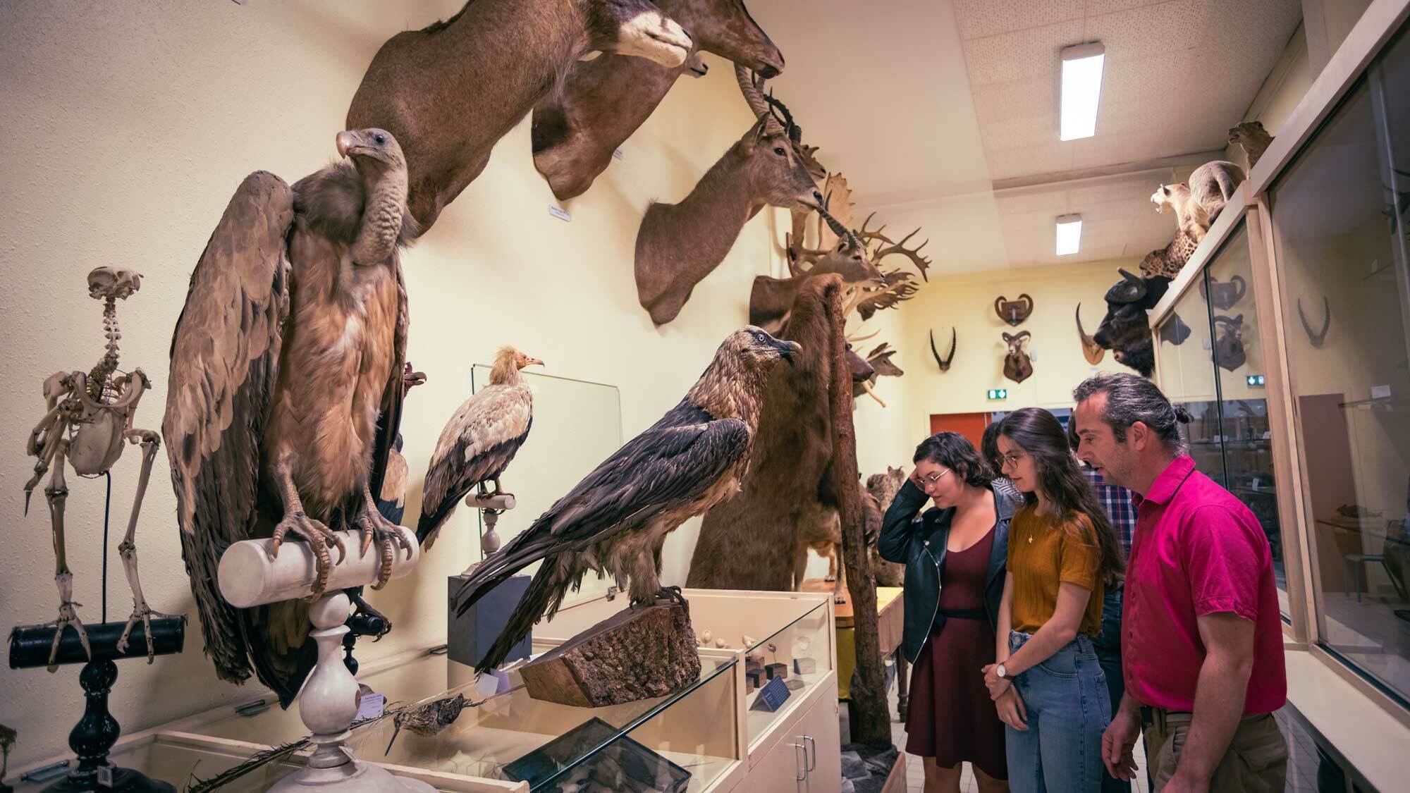 Visite découverte des collections scientifiques et artistiques... Le 21 sept 2024