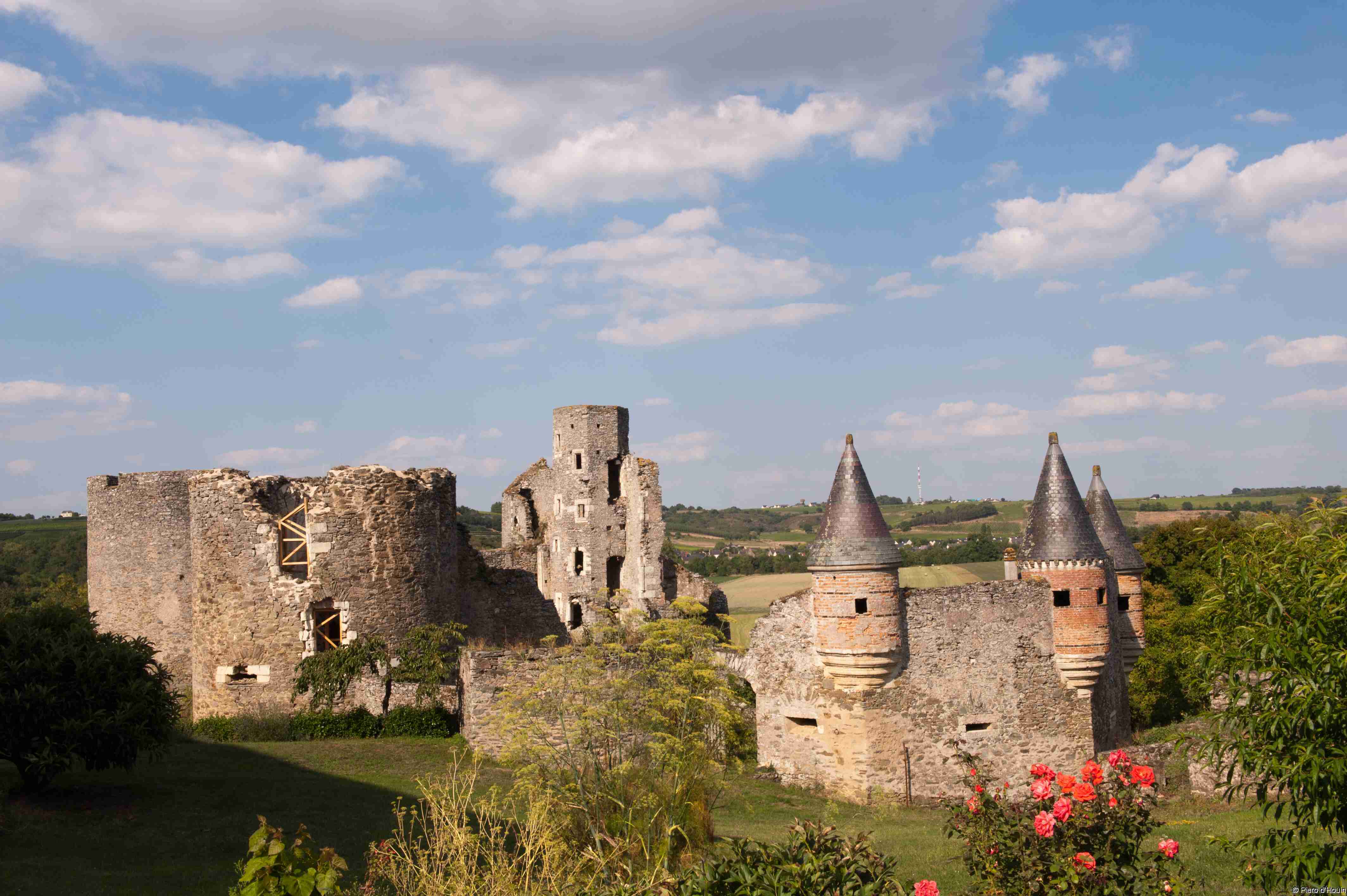 Visite guidée suivie d