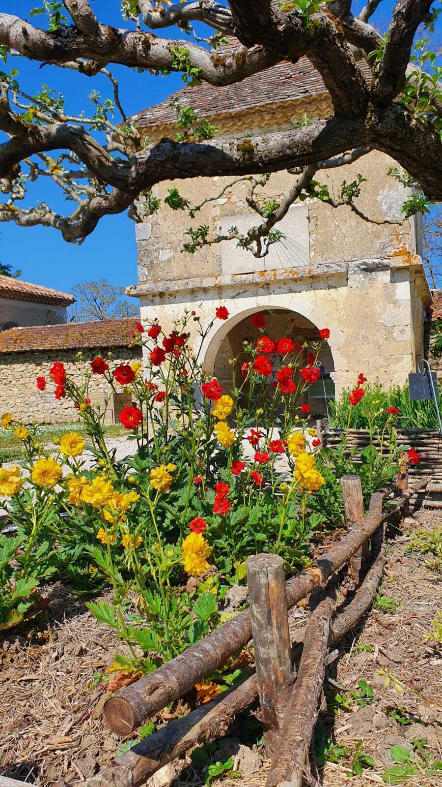 Venez vous initier au pouvoir colorant des plantes