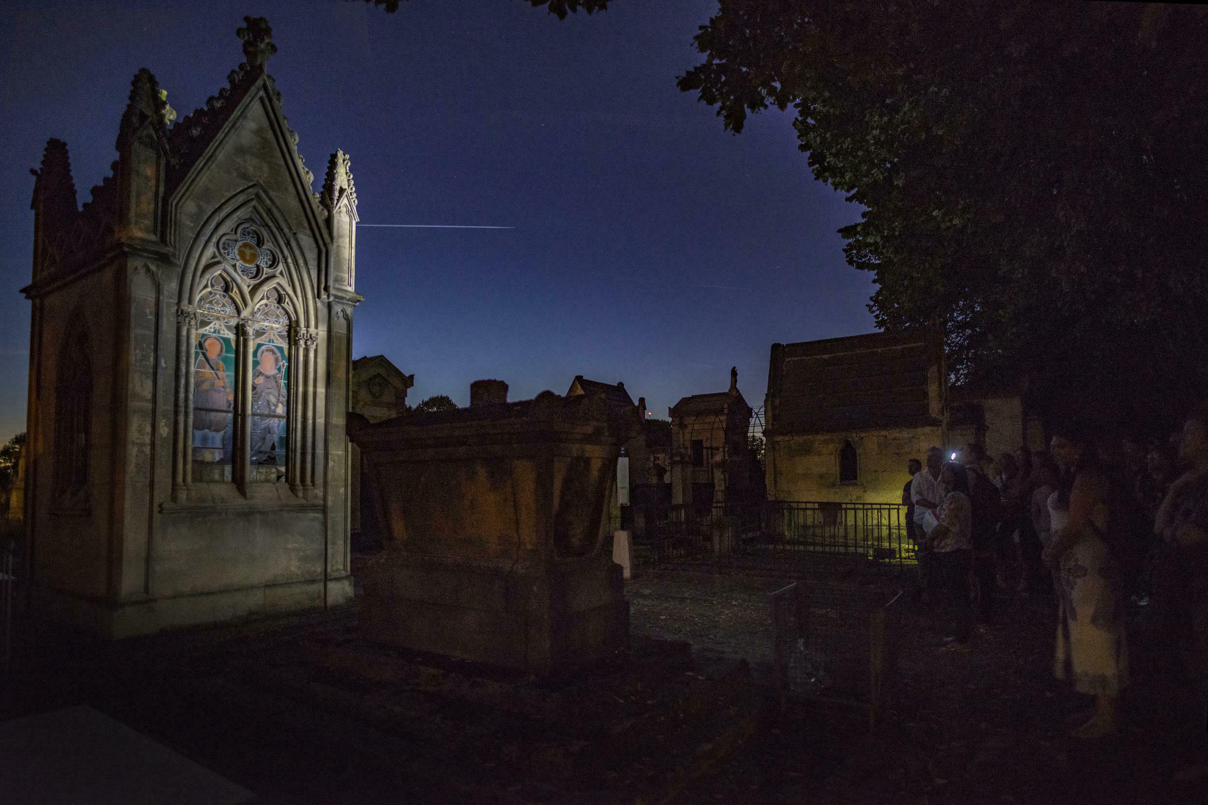 Les chauves-souris au cimetière de la Chartreuse Du 20 au 21 sept 2024