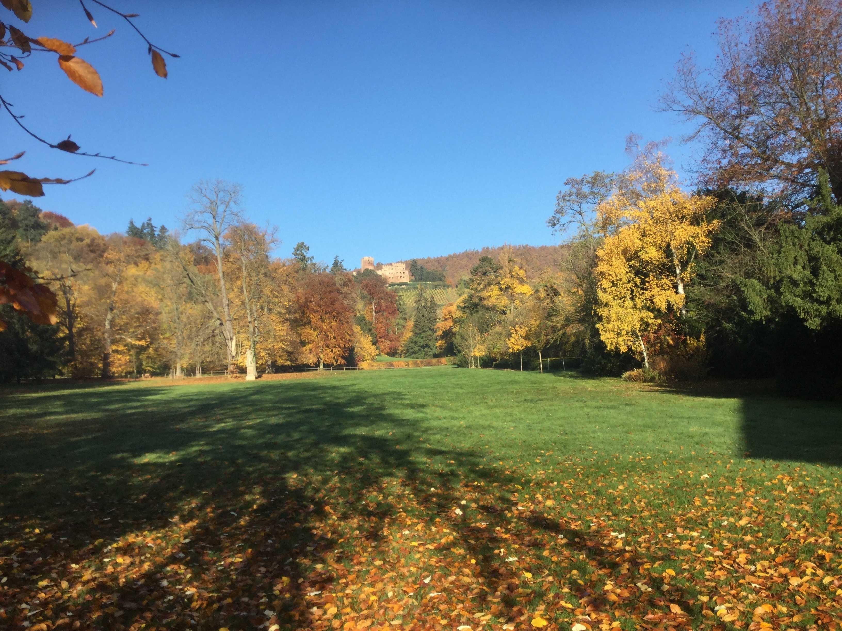 Visite du parc du manoir de Kintzheim