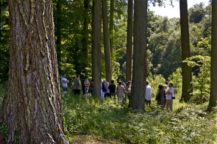 Les Arbres Fabuleux : promenade découverte dans le parc... Le 22 sept 2024