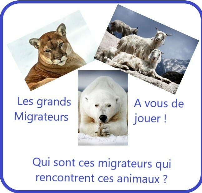 Jeu : « Les grands migrateurs »