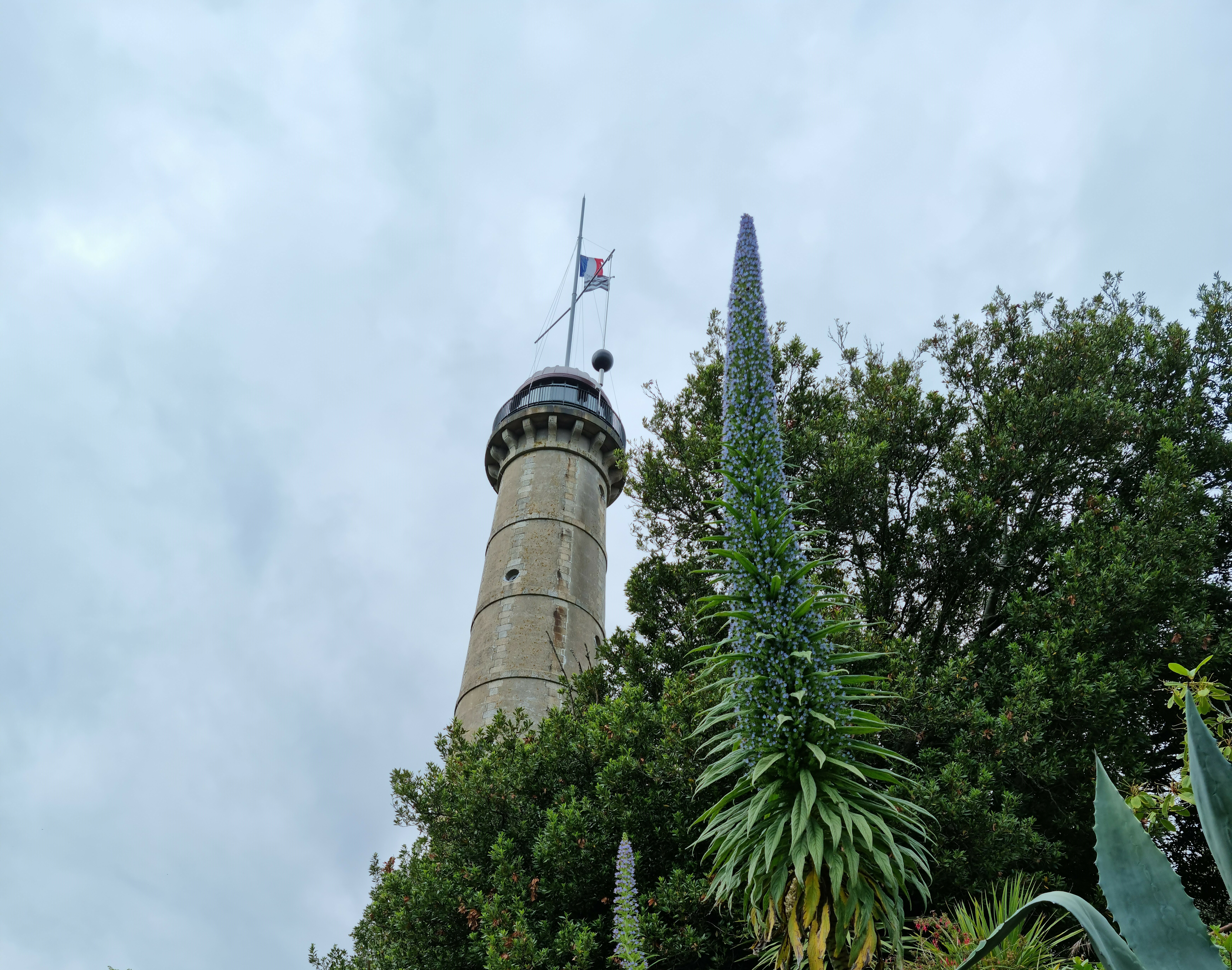 Visite de la Tour de la Découverte Du 21 au 22 sept 2024