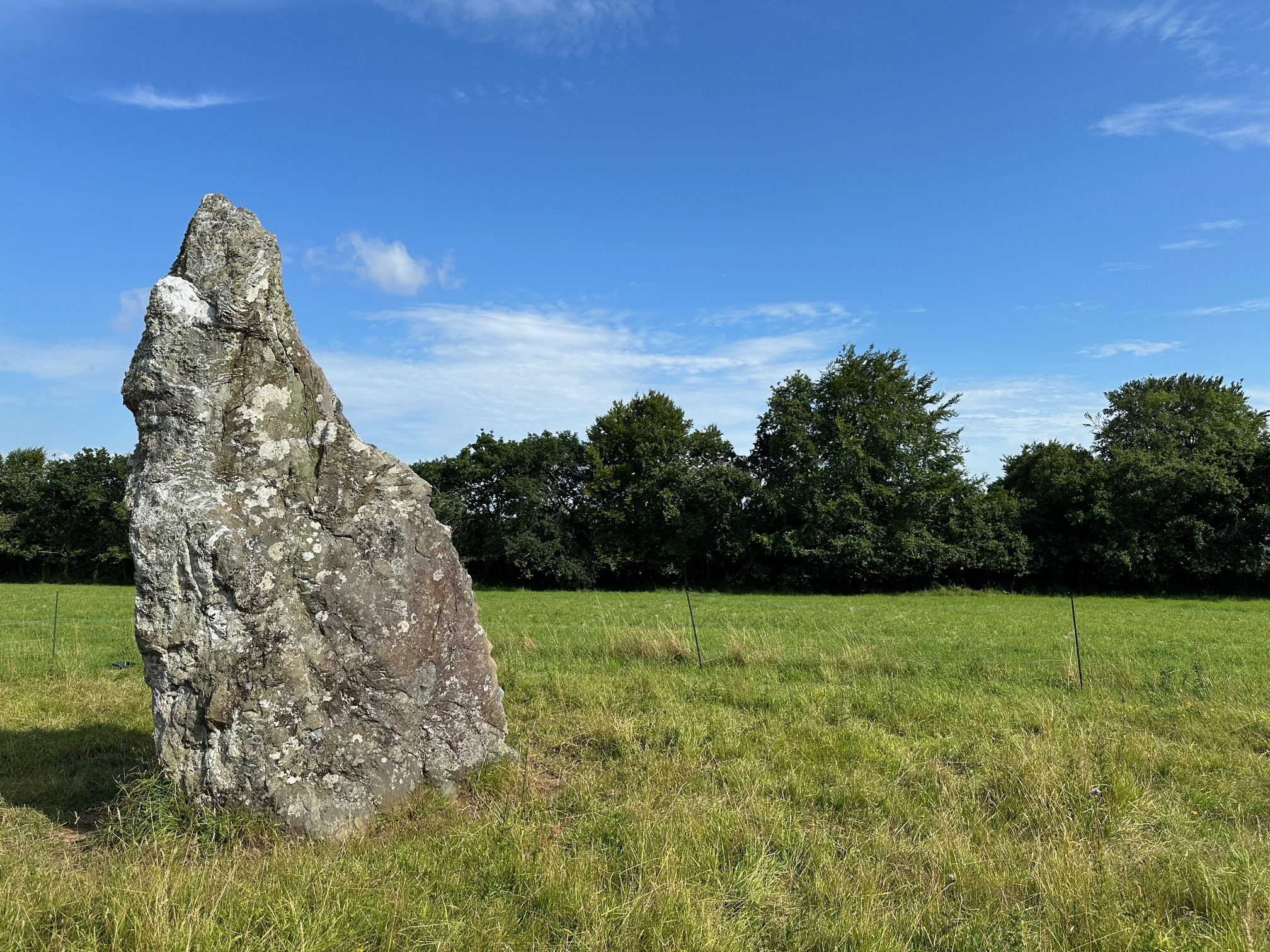 Conférence autour du Menhir du Carn - créneau 11h/12h Le 22 sept 2024