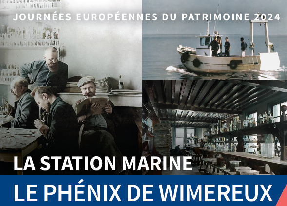 JEP 2024 : La station marine - Le Phénix de Wimereux