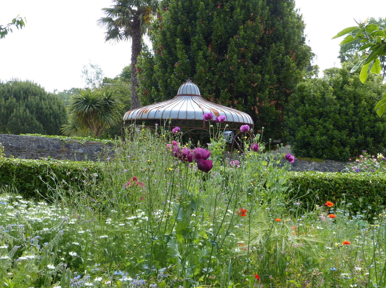 Spectacle : les contes du jardin Du 21 au 22 sept 2024