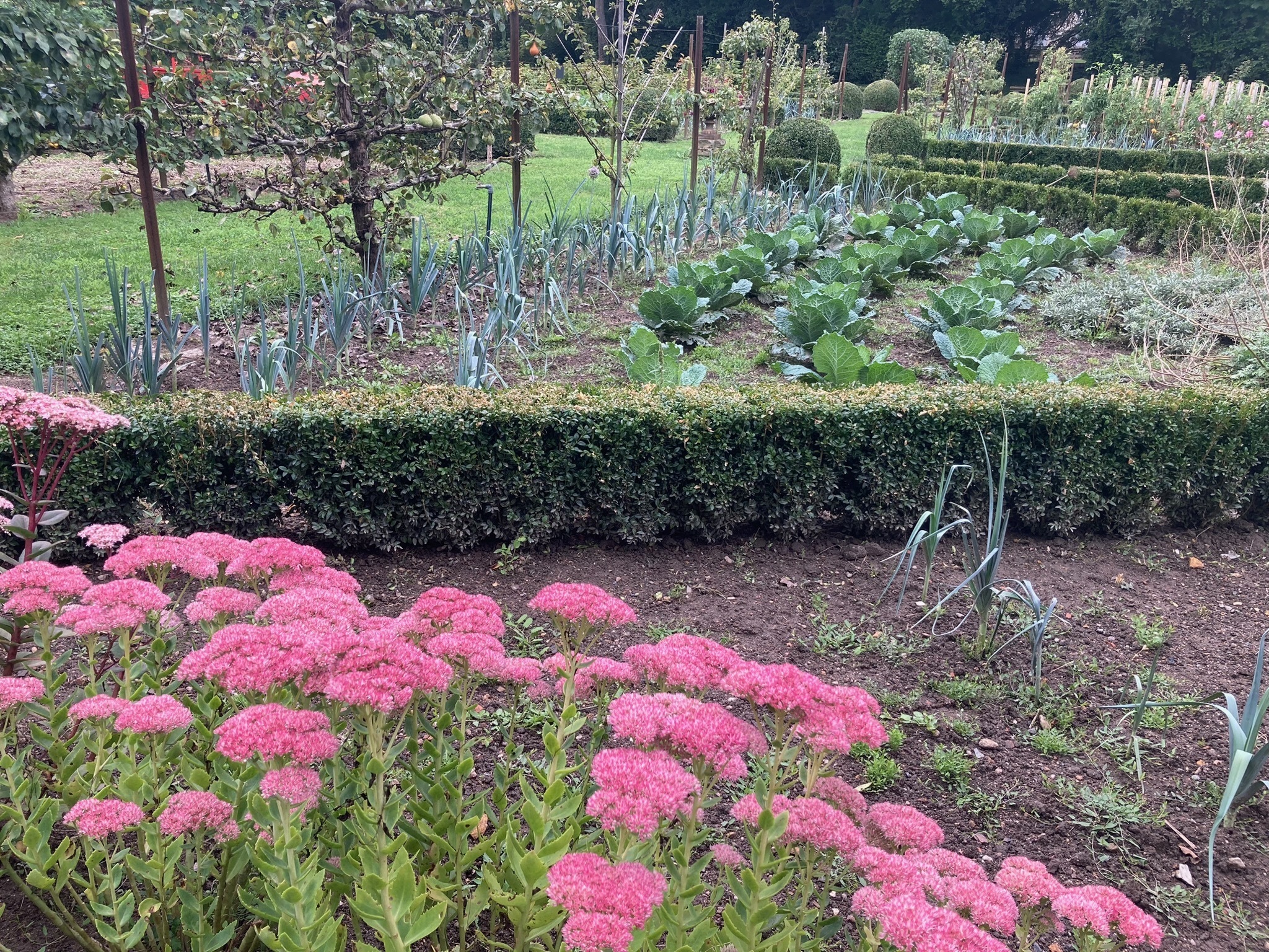 Visite guidée des jardins de la Croze Du 21 au 22 sept 2024