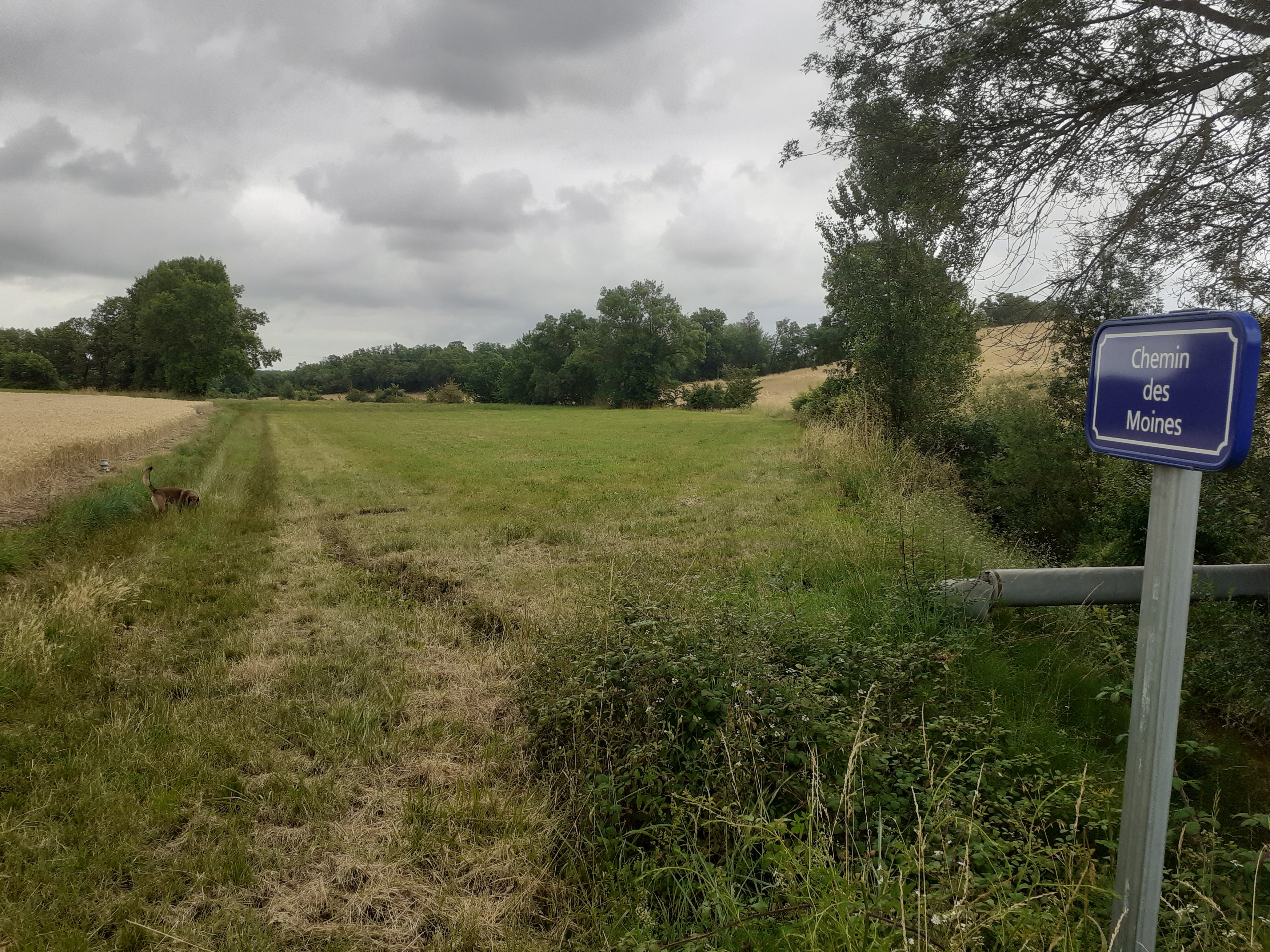 Visite guidée : « Des moines sur les chemins d