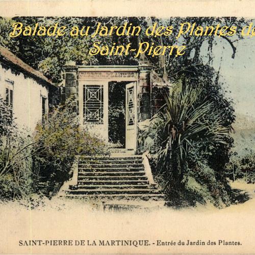 Conférence « Un jardin disparu : le jardin botanique de Saint-Pierre (1803-1902) »
