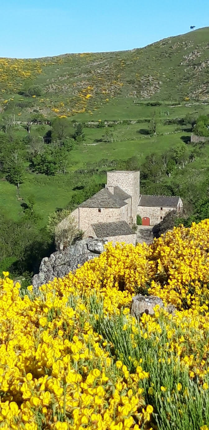 À la découverte du château de Grizac