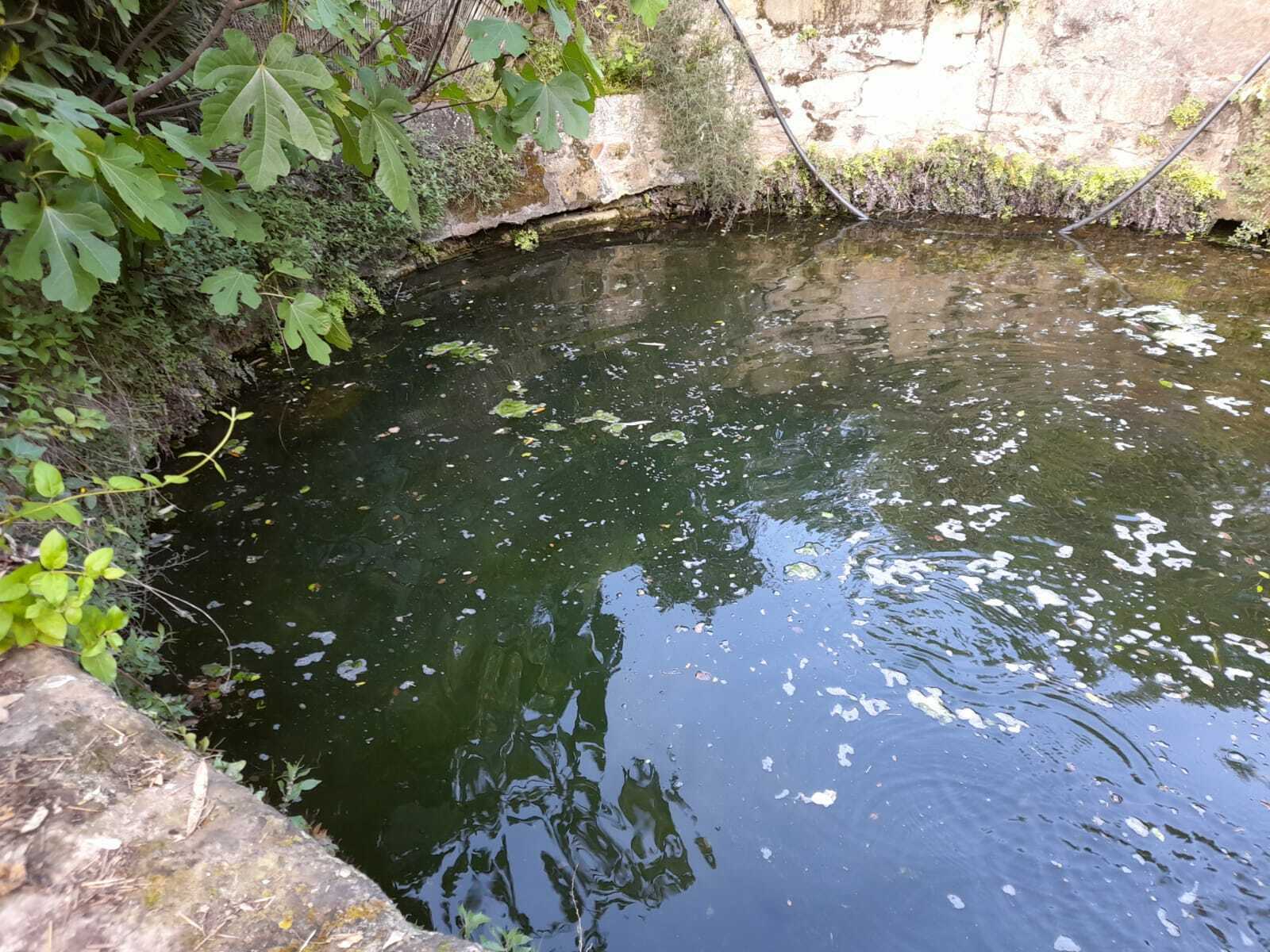 Découverte de la fontaine miraculeuse de Font Cluse