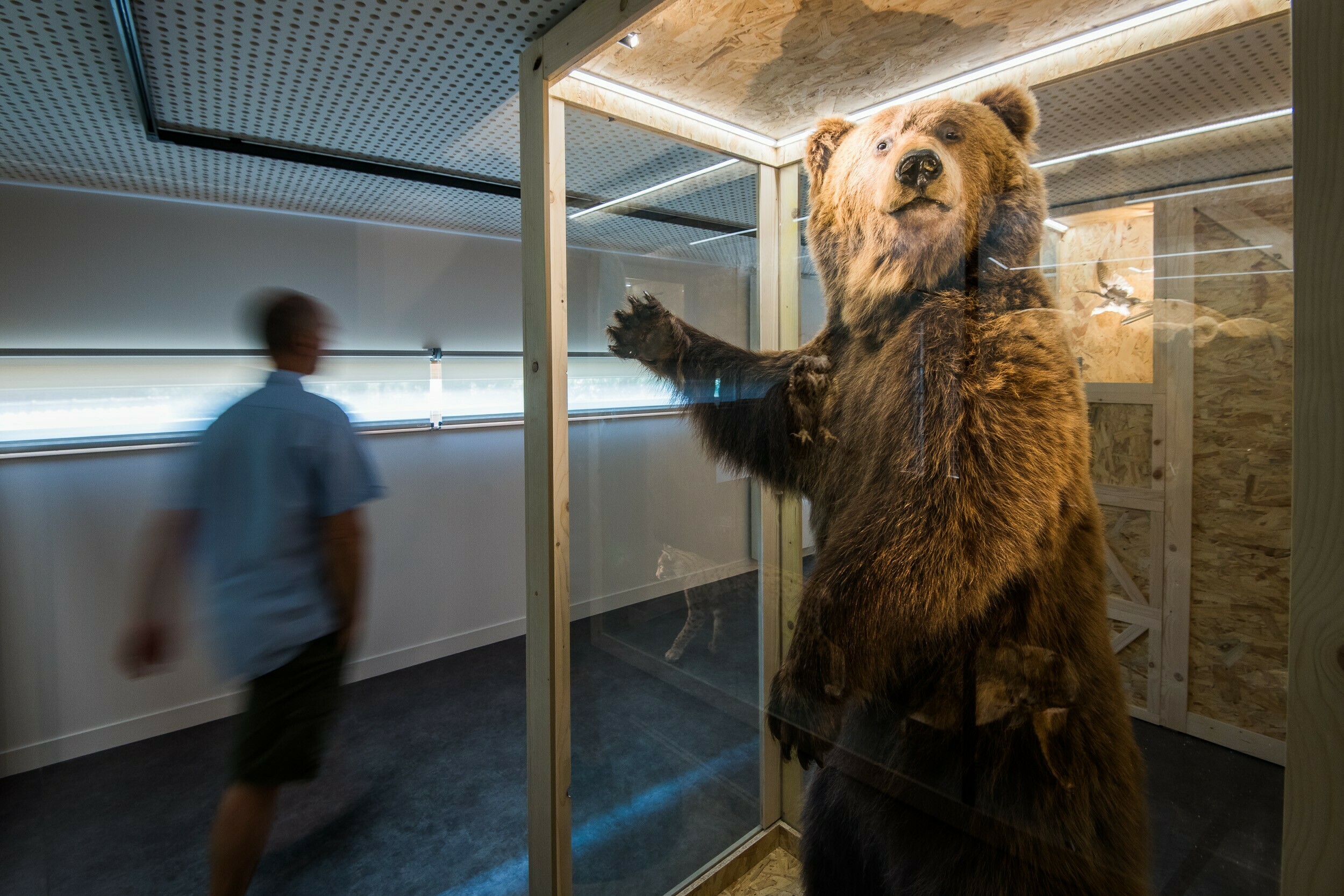 Visite offerte du château des Rubins-Observatoire des Alpes Du 21 au 22 sept 2024