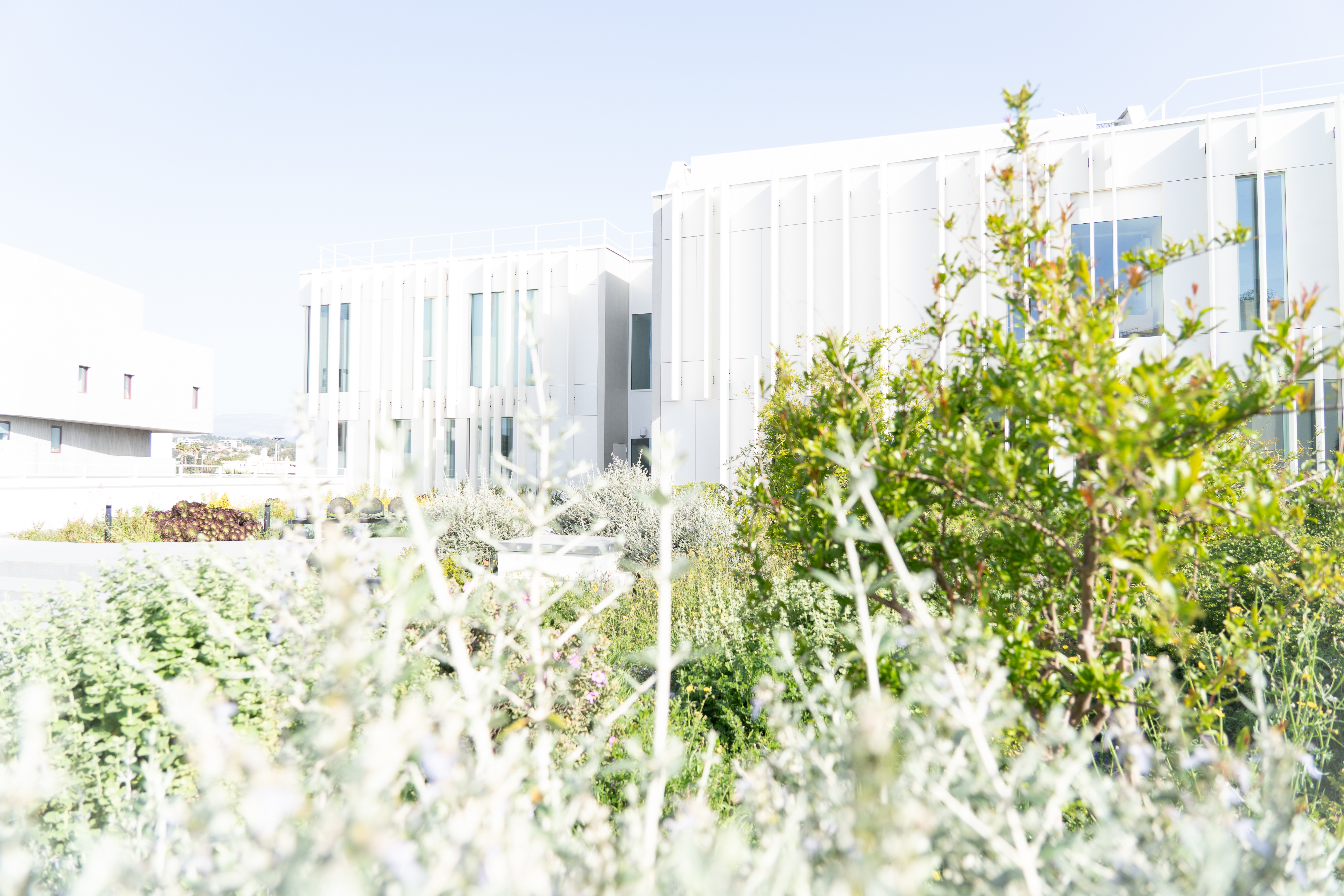 Visite guidée du nouveau Conservatoire d