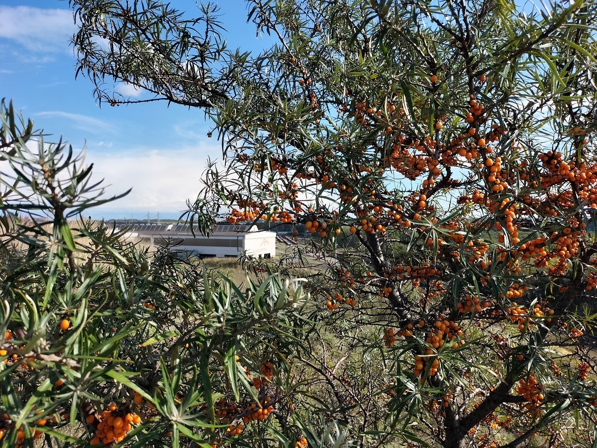 Visite découverte ArcelorMittal - patrimoine sidérurgique... Le 21 sept 2024