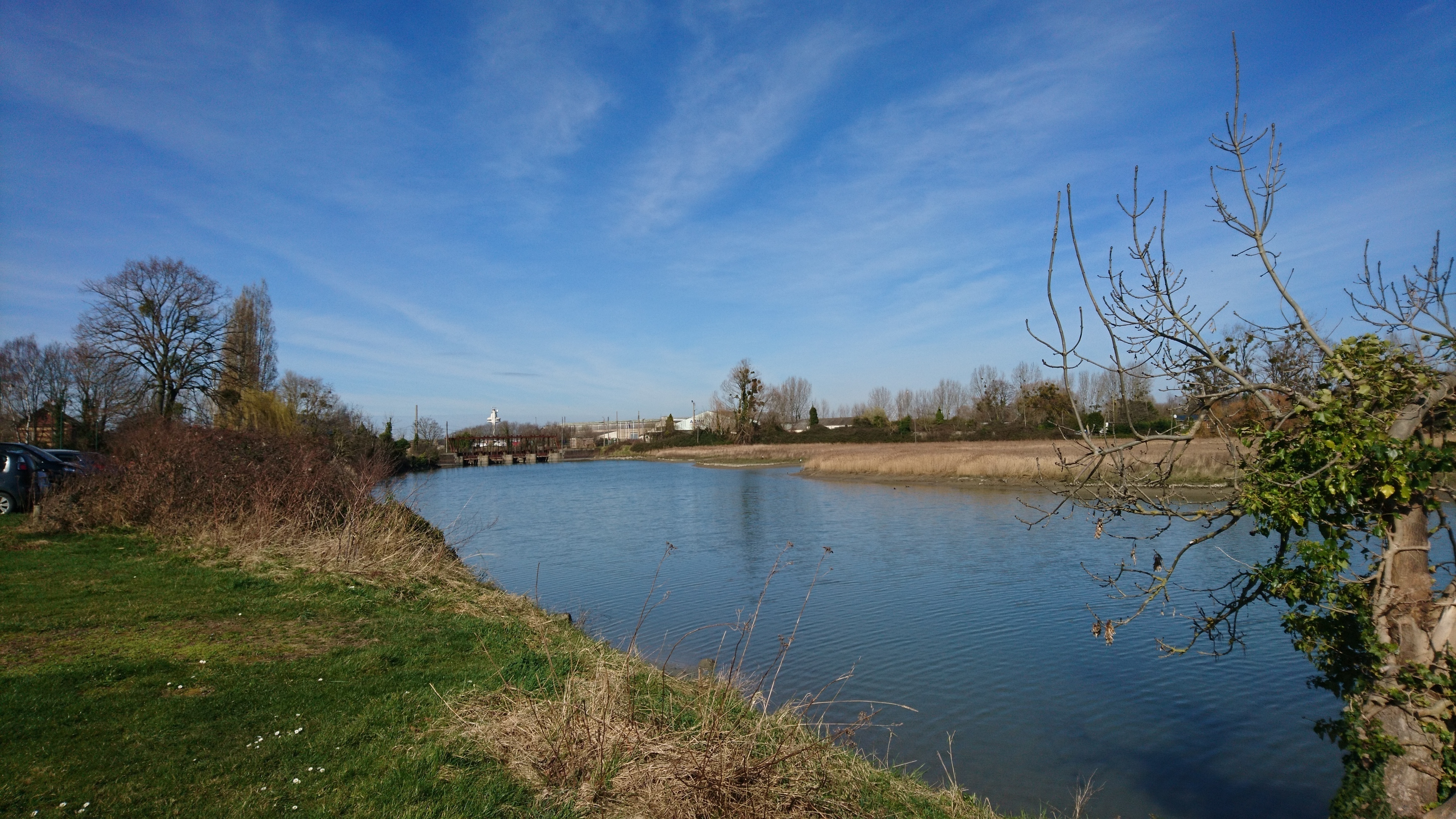 Circuit : balade botanique en musique autour du bassin de chasse