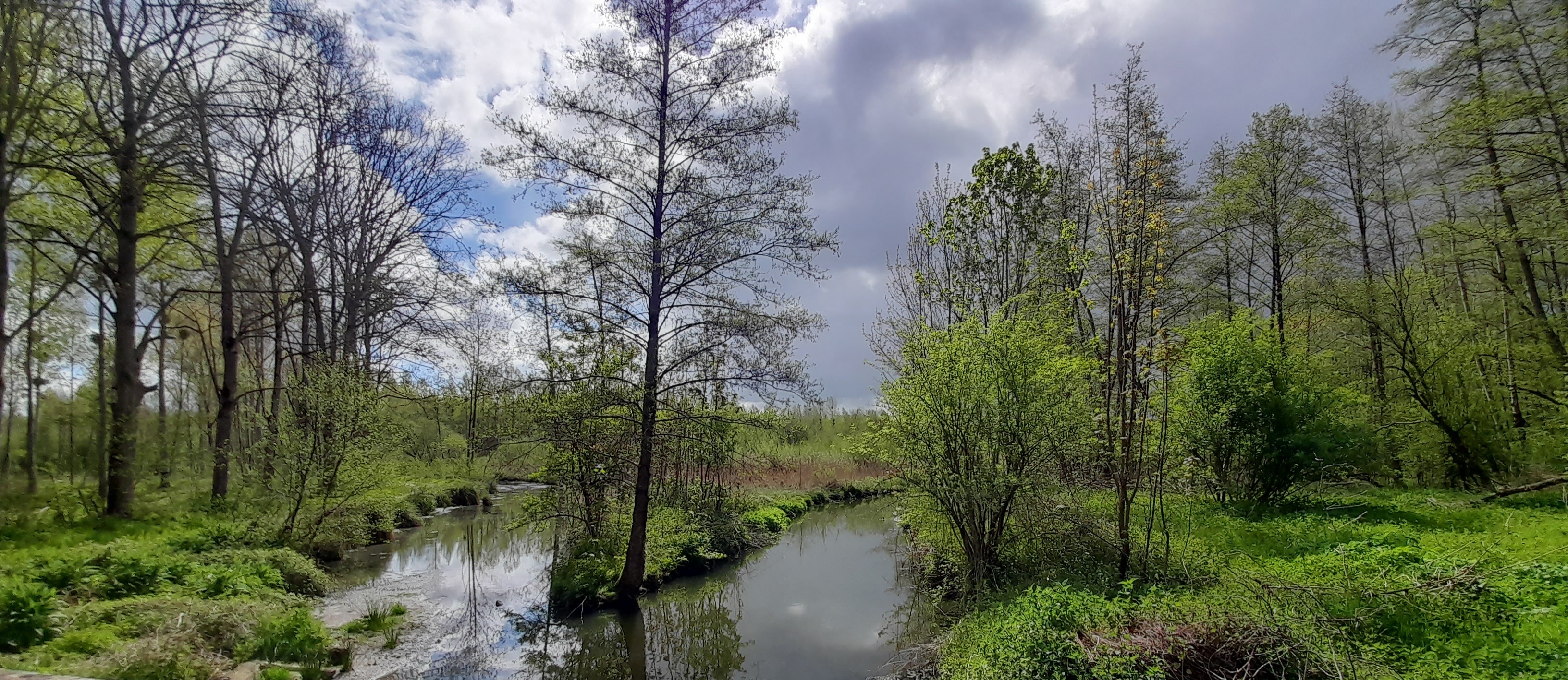 Visite Guidée - Gestion du Parc Jean-Jacques Rousseau