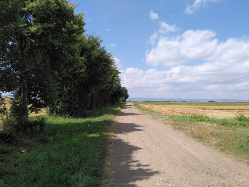 Balade à la découverte des haies de Limagne