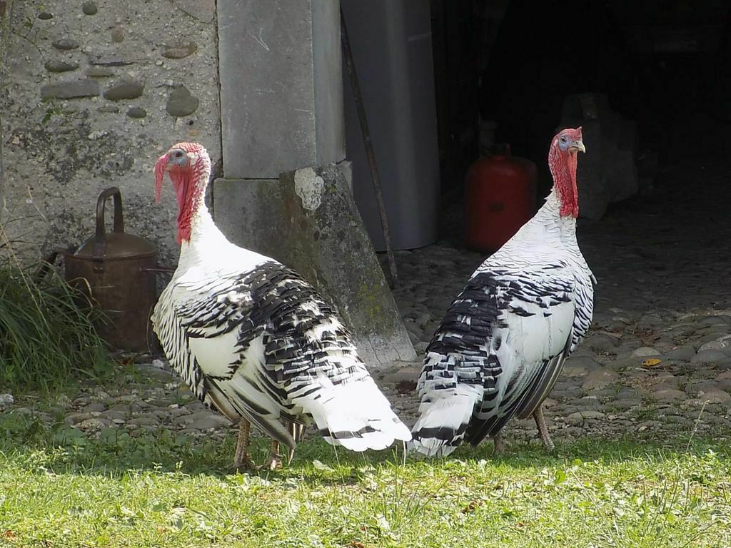 Marché médiéval et artisanal