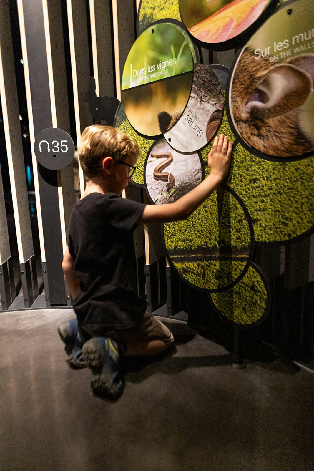 Découverte de la Cité des Climats et vins de Beaune grâce à un livret-jeux