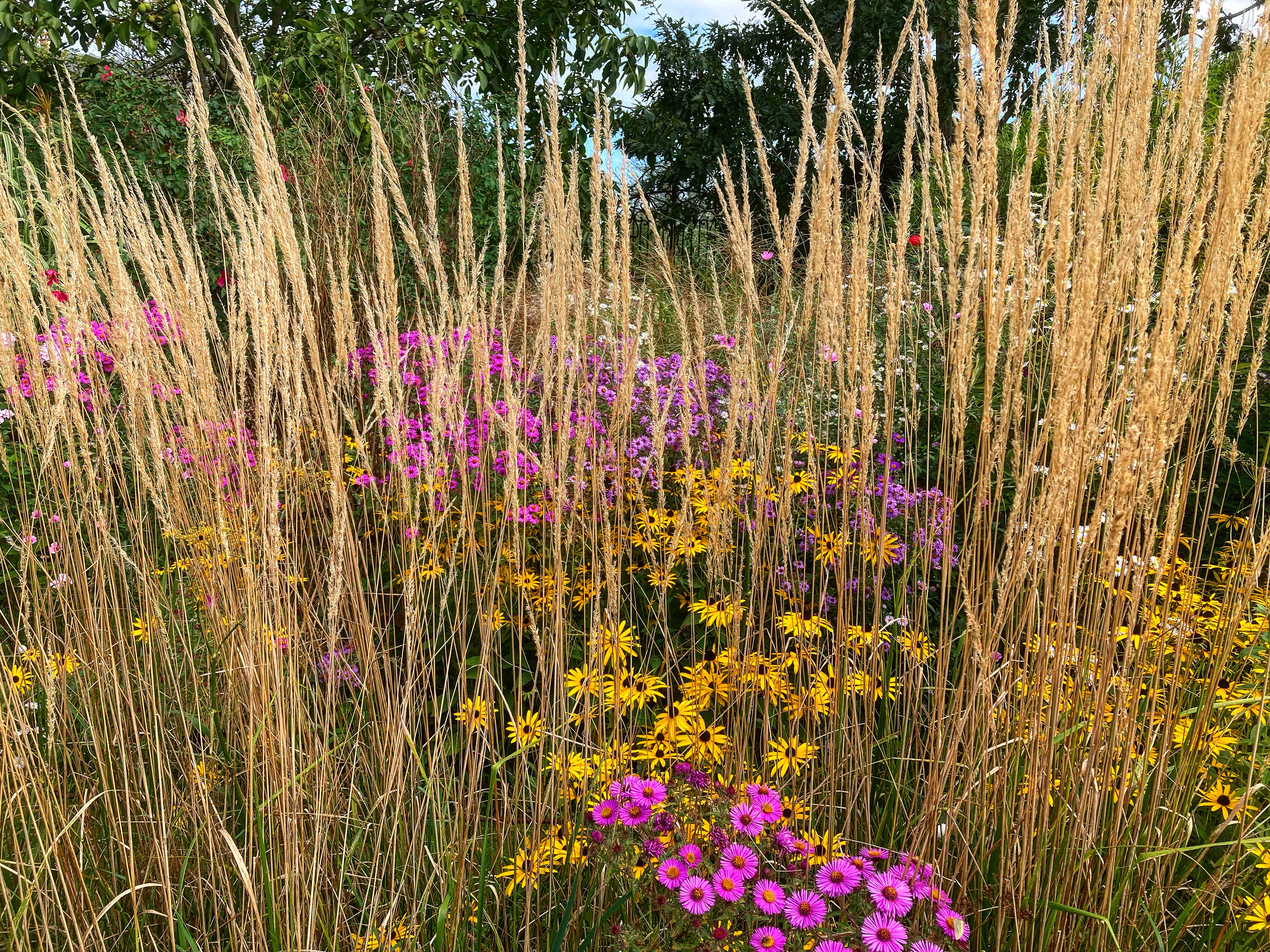 Visite libre des jardins de l