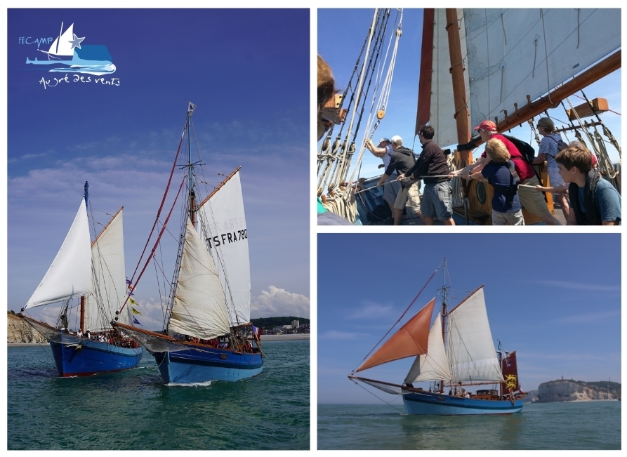 Visite guidée : sortie en mer sur un vieux gréement