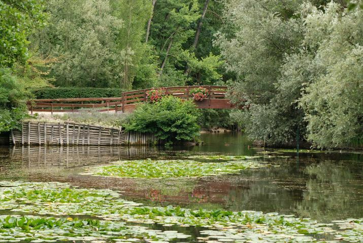 Promenez-vous dans un parc entourés d