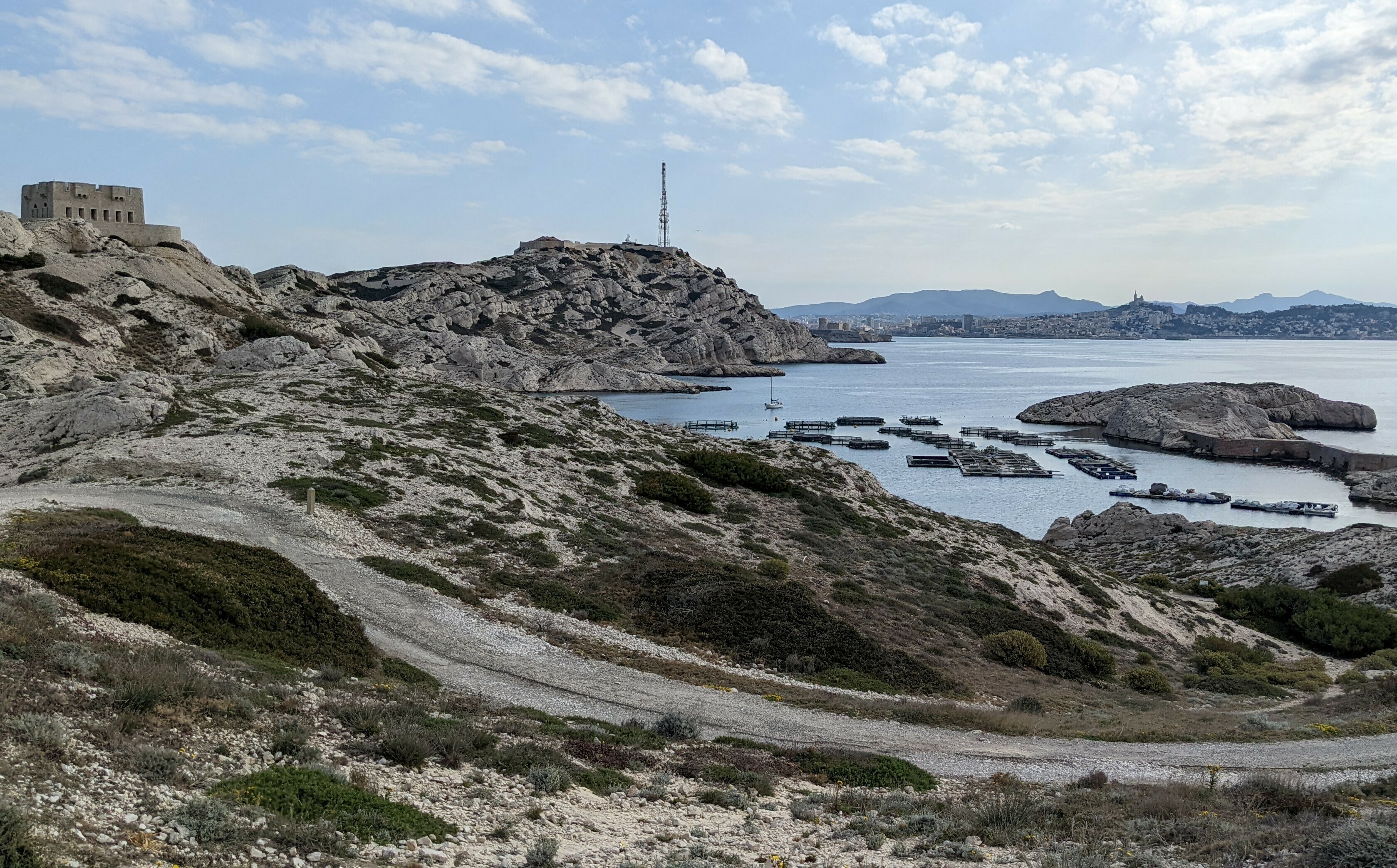 Visite du port de Pomègues, découverte de son histoire et de sa pisciculture bio