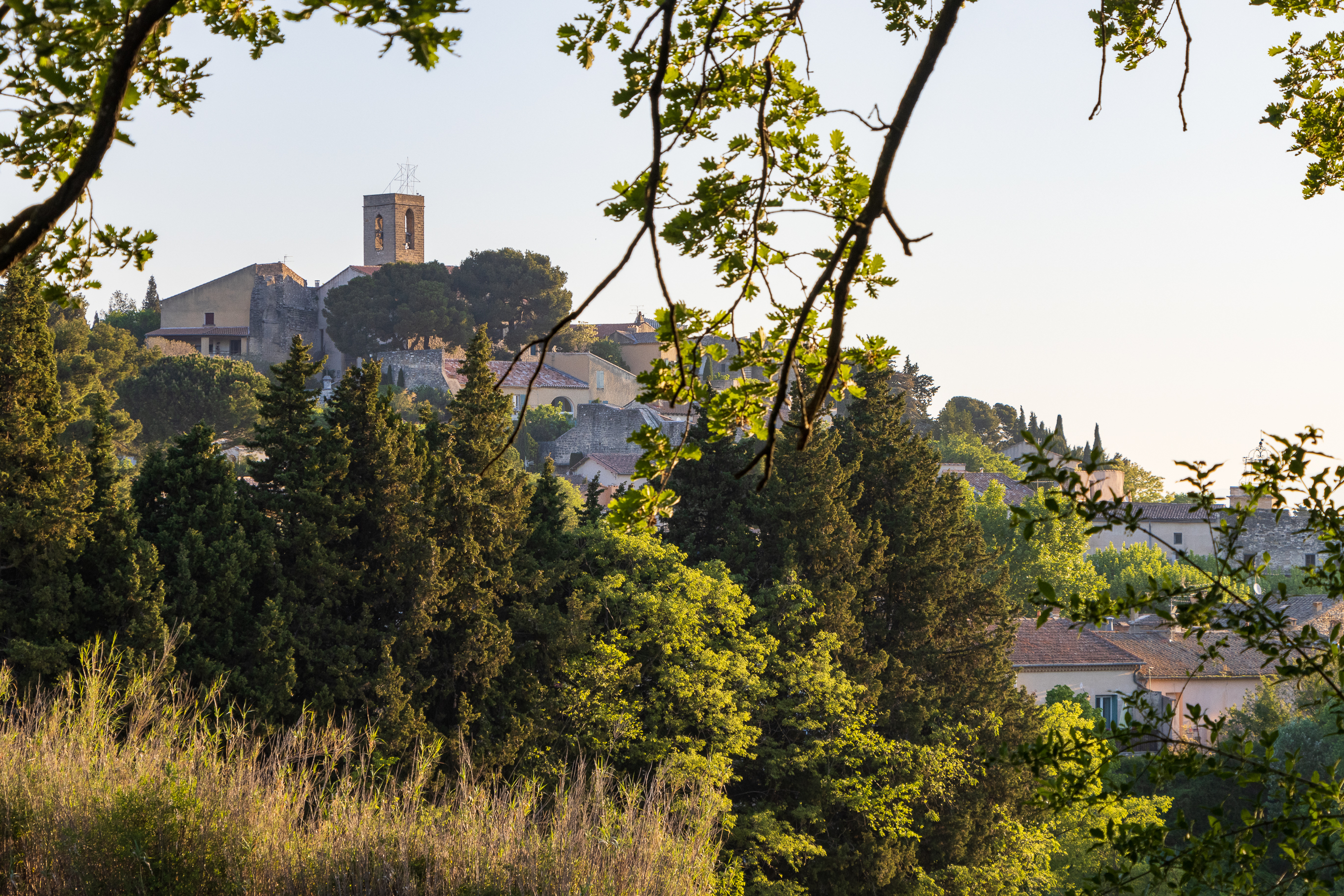 Visite guidée à Châteauneuf de Gadagne #JEP Le 22 sept 2024