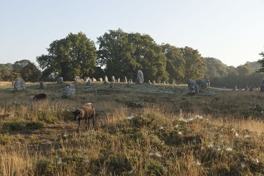 Mégalithes à la croisée des chemins Du 21 au 22 sept 2024