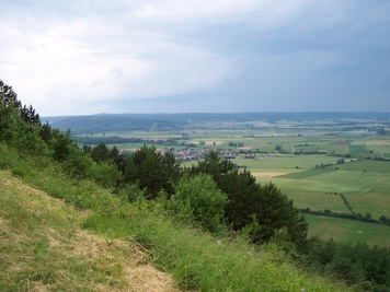 Levez les yeux ! Le patrimoine naturel et la biodiversité des côtes de Meuse